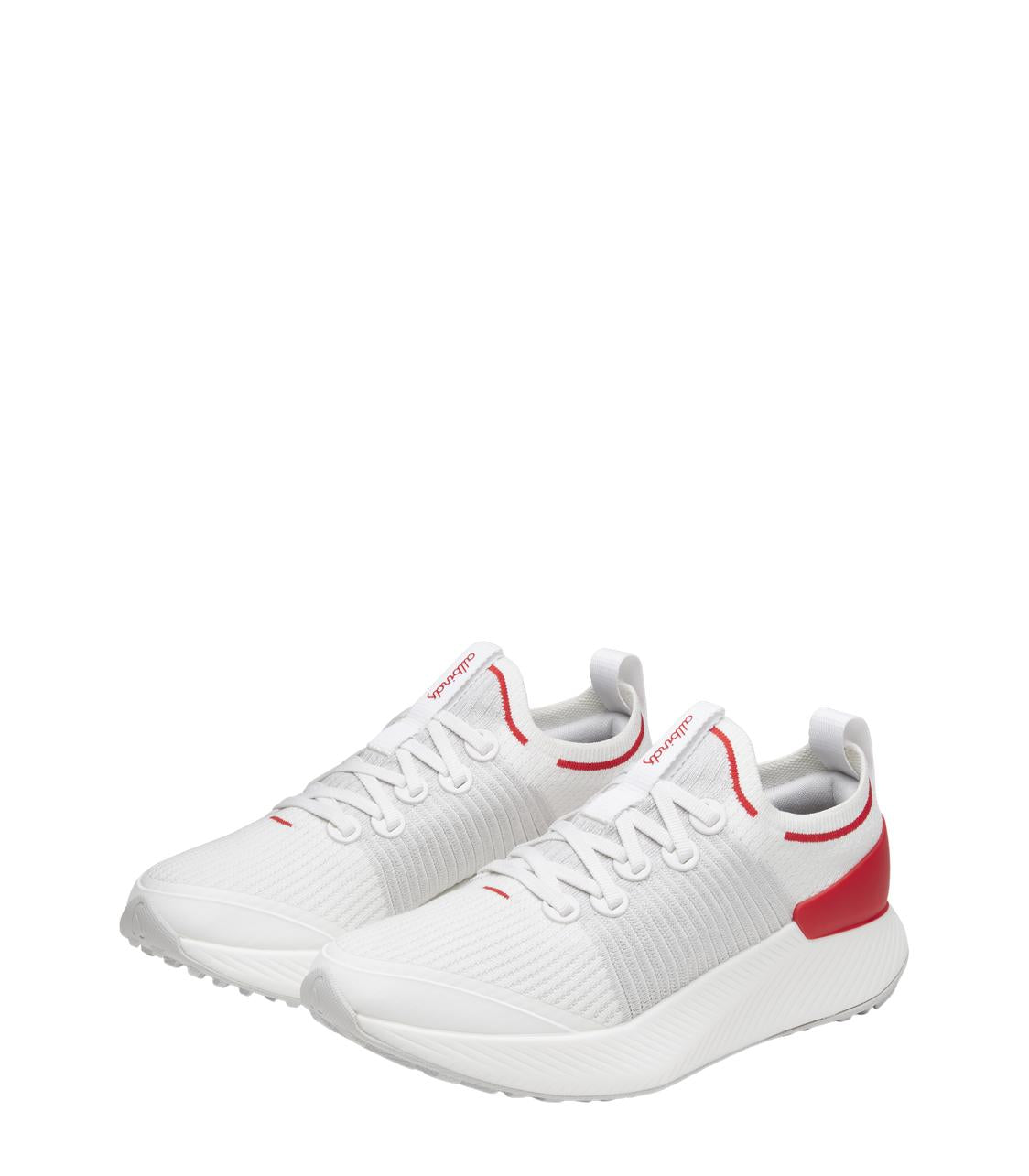 Men's Tree Glider Shoes Allbirds PH