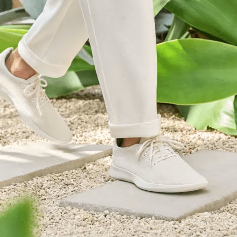 Allbirds lazada deals